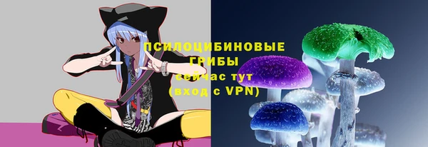ешки Аркадак