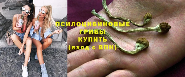 ешки Аркадак