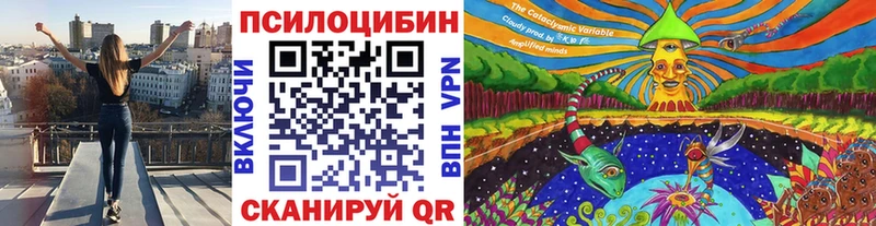 Галлюциногенные грибы MAGIC MUSHROOMS  наркошоп  Полысаево 