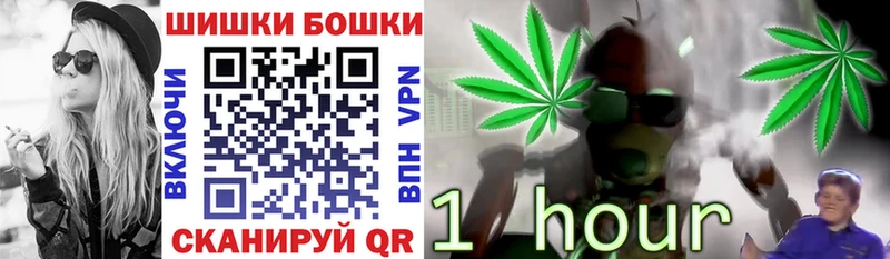 Конопля марихуана Полысаево
